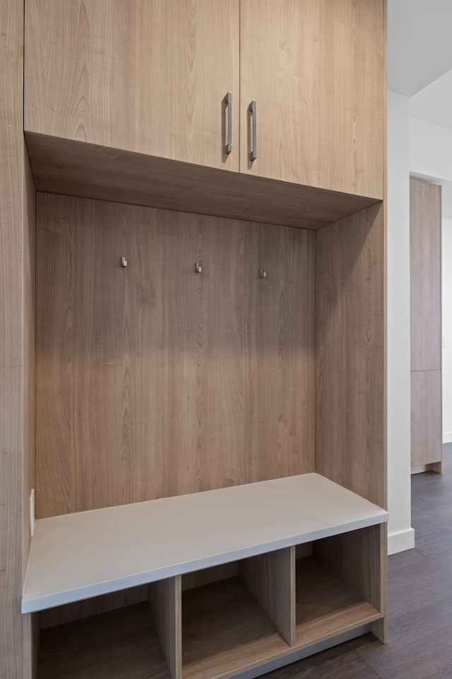 mudroom featuring dark wood finished floors and a sauna