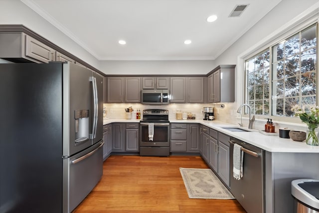 kitchen featuring light wood finished floors, stainless steel appliances, backsplash, gray cabinetry, and a sink