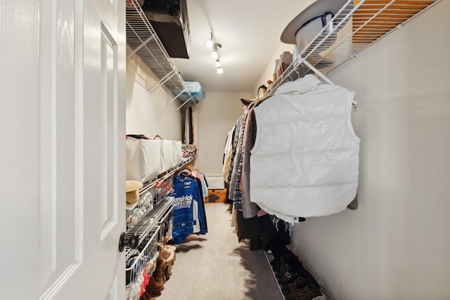 spacious closet with carpet