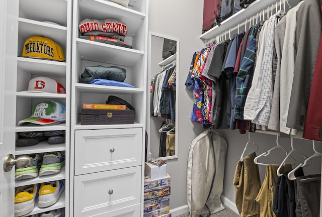 view of spacious closet