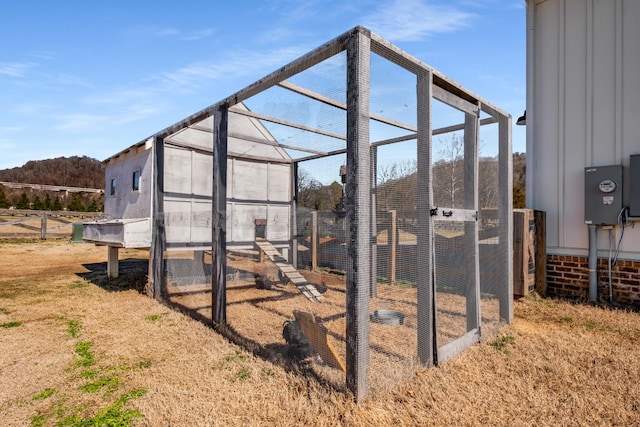 view of poultry coop