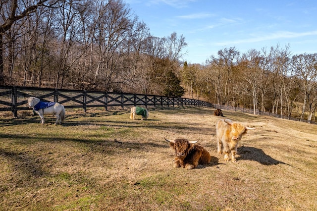 view of yard featuring a rural view and fence