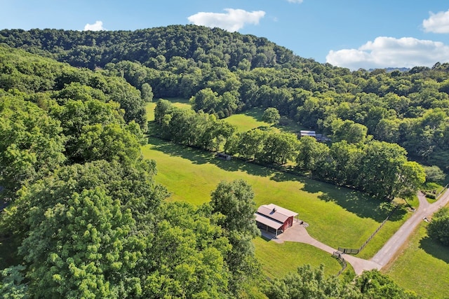 bird's eye view with a forest view