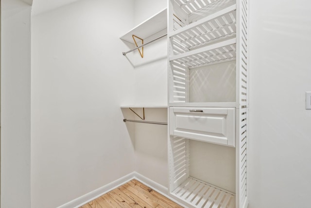 spacious closet featuring wood finished floors