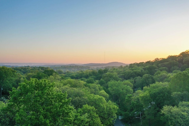 mountain view featuring a forest view