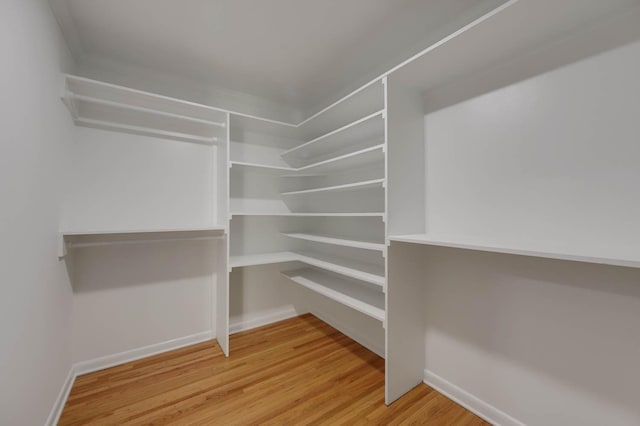 walk in closet with wood finished floors