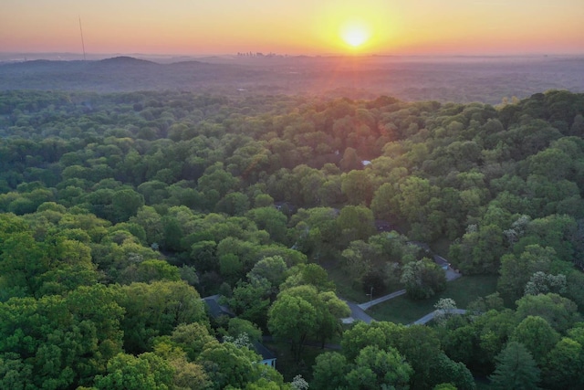 bird's eye view featuring a forest view