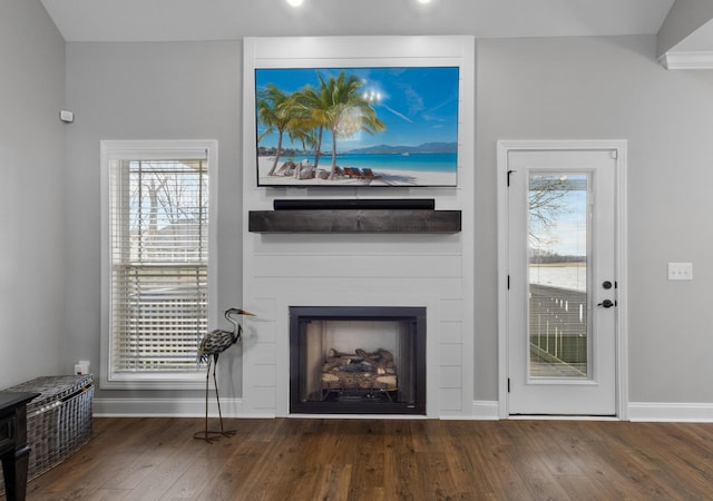 living room with a healthy amount of sunlight, a fireplace, and hardwood / wood-style floors