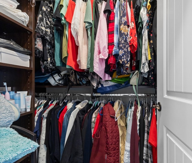 view of walk in closet