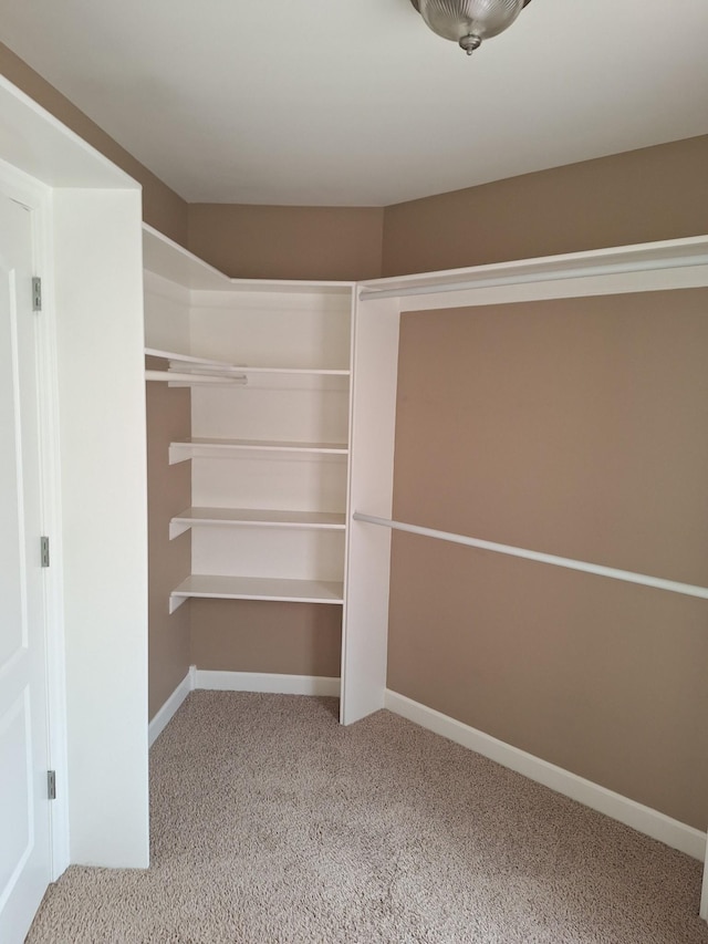 spacious closet with carpet