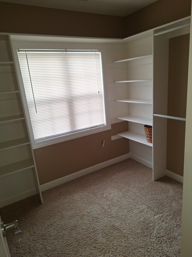 interior space featuring carpet and baseboards