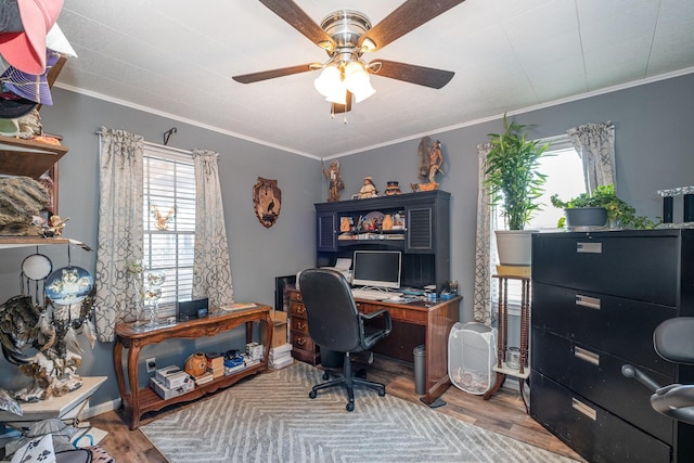 home office with a healthy amount of sunlight, crown molding, ceiling fan, and wood finished floors