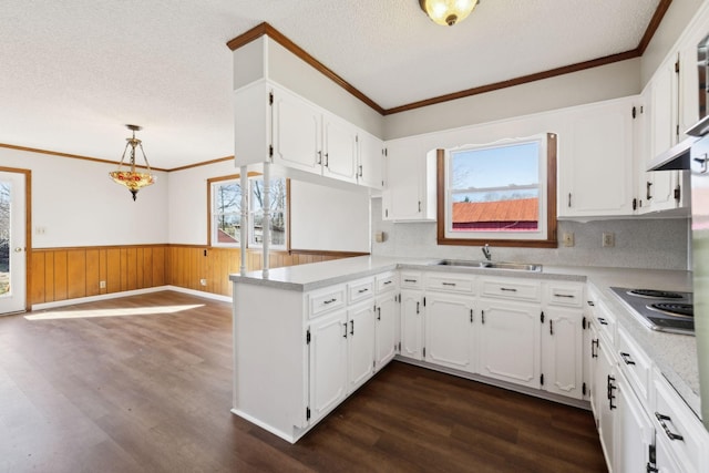 kitchen featuring a wainscoted wall, dark wood-style floors, a sink, and stainless steel electric stovetop