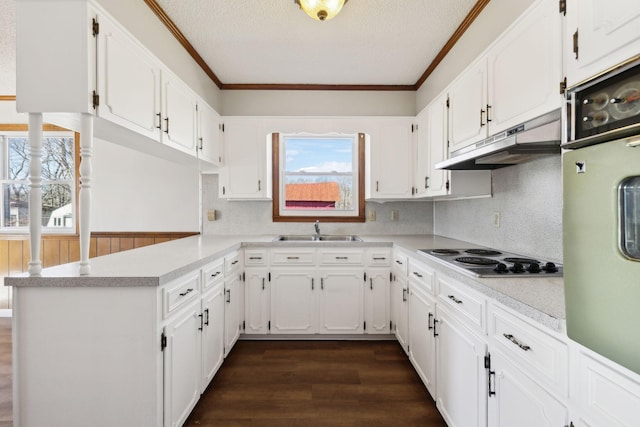 kitchen featuring oven, electric stovetop, under cabinet range hood, a sink, and ornamental molding