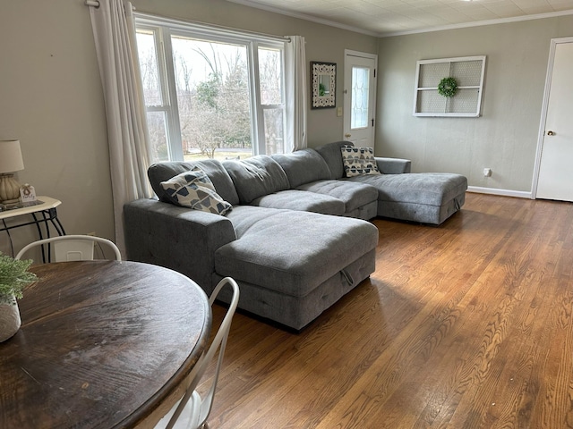 living area featuring ornamental molding, wood finished floors, and baseboards