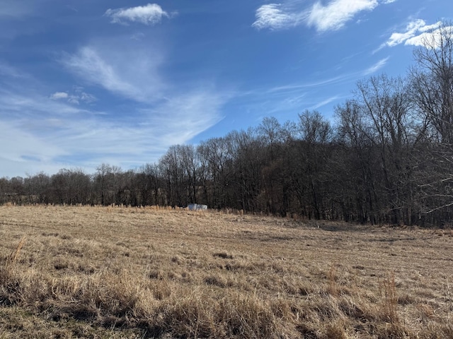 1097 Gholson Rd, Clarksville TN, 37043 land for sale