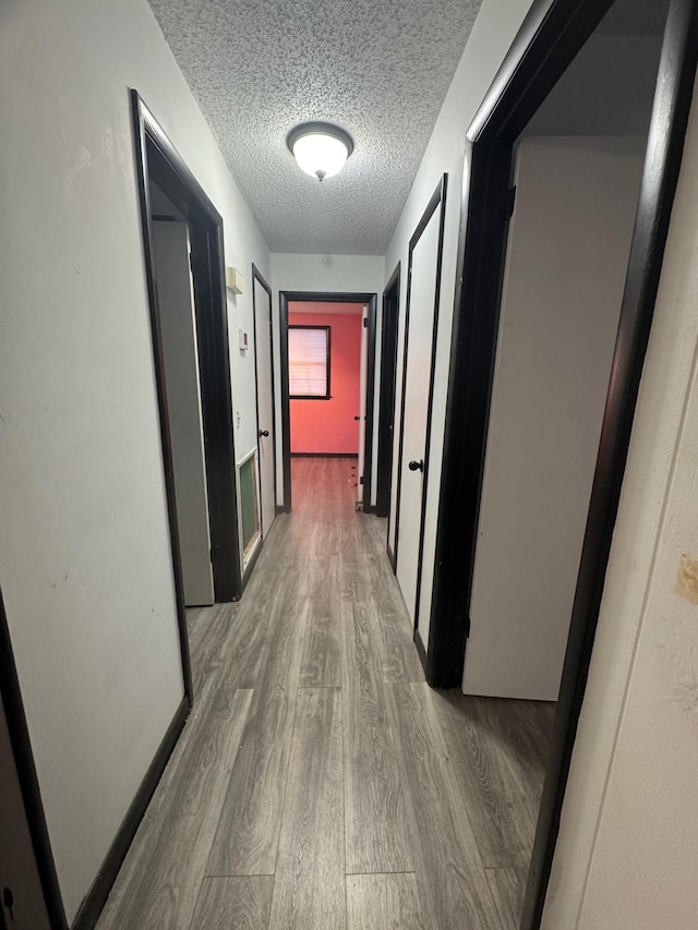 hallway featuring a textured ceiling and wood finished floors