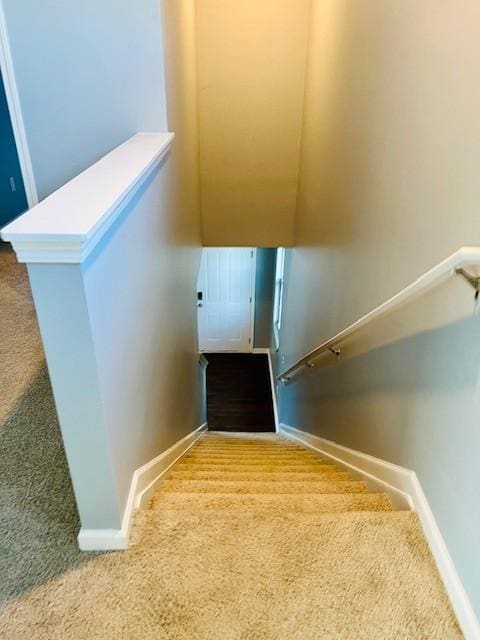 stairs with carpet floors and baseboards