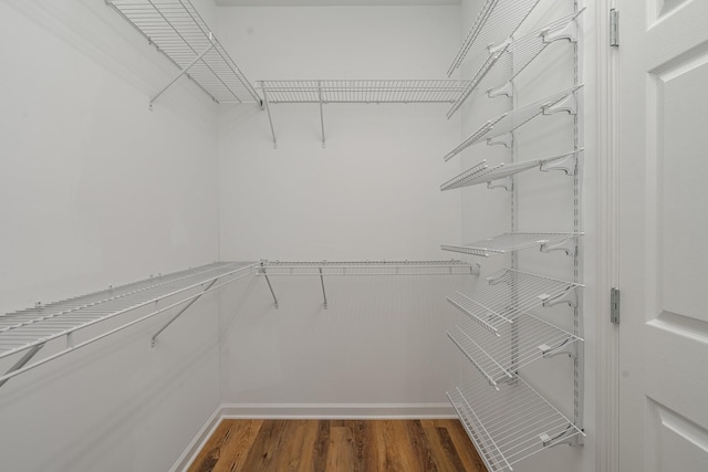 spacious closet with wood finished floors