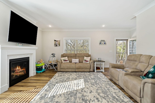 living area with recessed lighting, a fireplace, wood finished floors, and crown molding