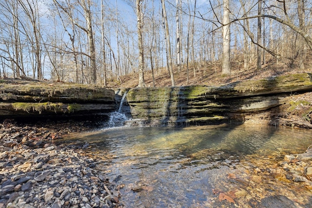 view of water feature