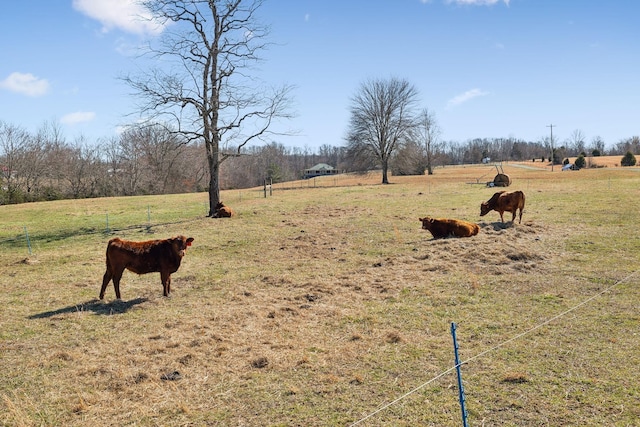 view of yard featuring a rural view