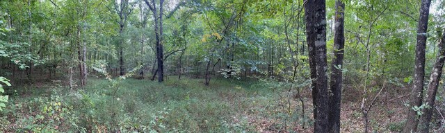 0 Lisa Ln, Holladay, TN 38341