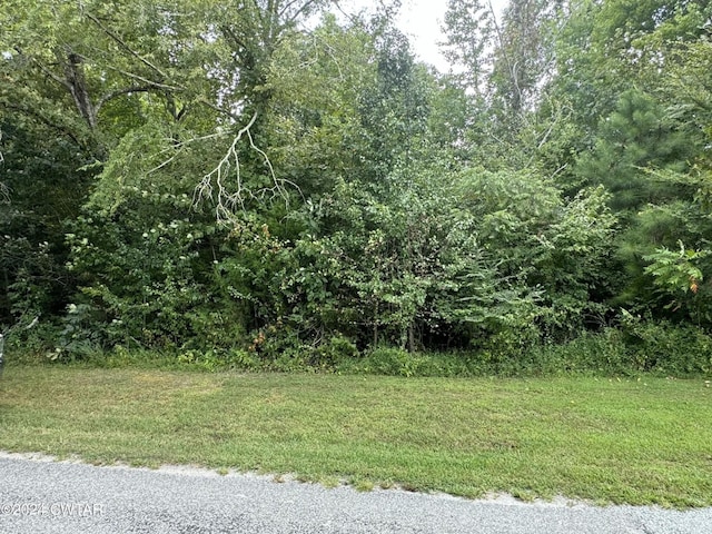 0 Lisa Ln, Holladay, TN 38341