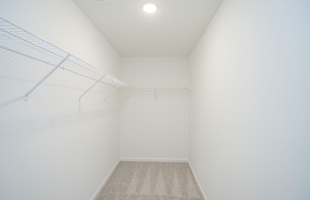 spacious closet with light carpet