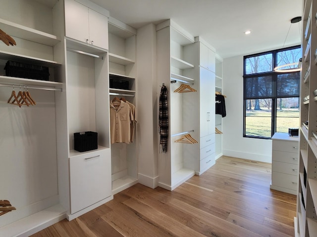 walk in closet featuring light wood-style flooring