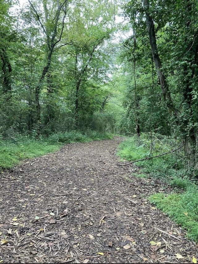 view of landscape with a view of trees