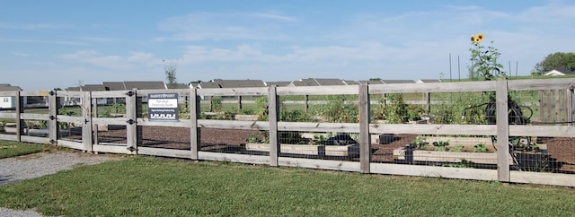 view of yard featuring a garden