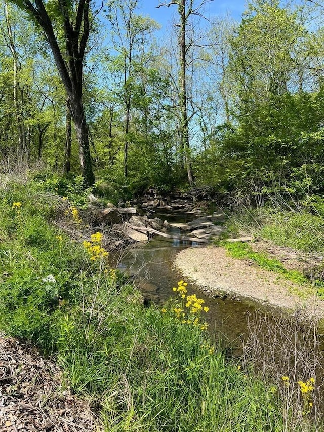 view of landscape featuring a wooded view