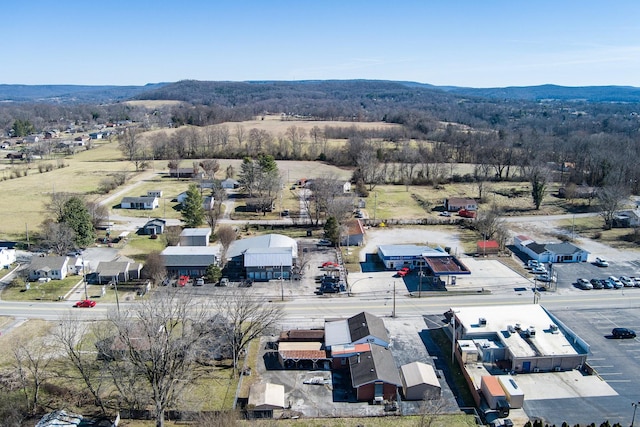 birds eye view of property featuring a mountain view