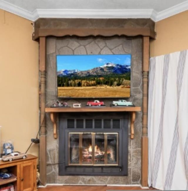 room details featuring a fireplace and crown molding