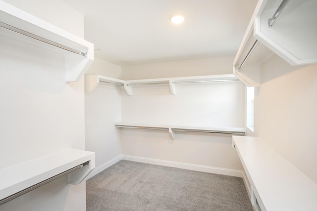 spacious closet featuring light colored carpet