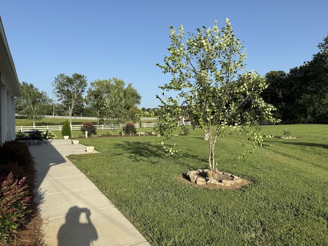 105 Himesville Rd, Shelbyville, TN 37160 - photo 52