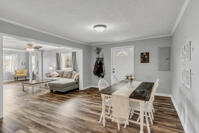 dining space featuring attic access, electric panel, dark wood-style floors, crown molding, and a textured ceiling