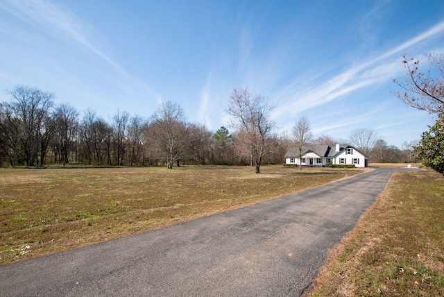 view of road featuring aphalt driveway