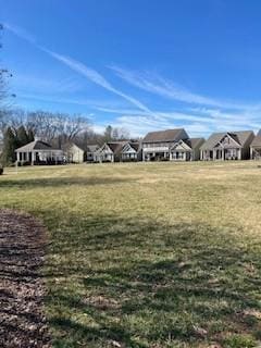 view of yard featuring a residential view