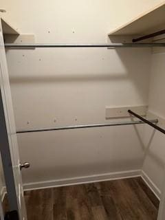 spacious closet featuring wood finished floors