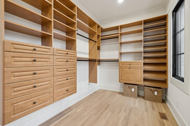 walk in closet with light wood-type flooring and visible vents