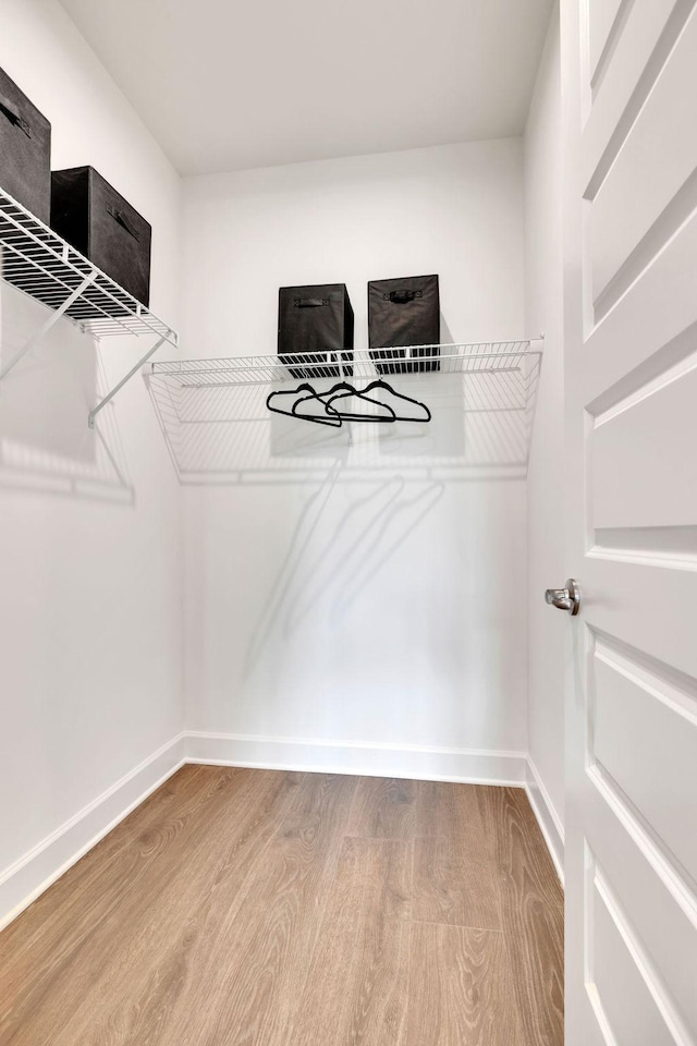 spacious closet featuring wood finished floors