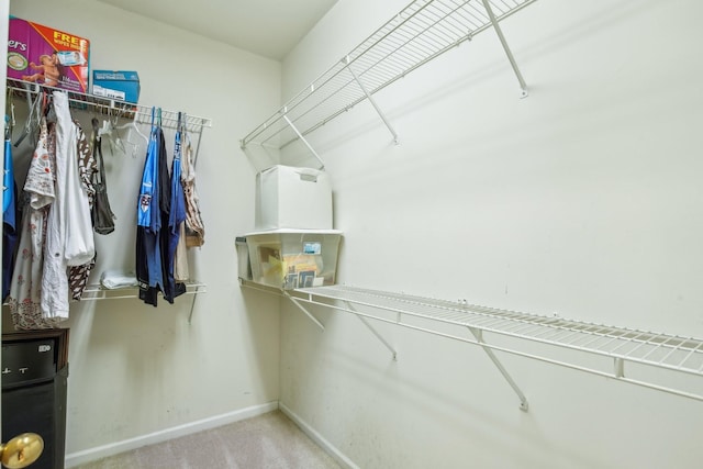 walk in closet featuring carpet flooring