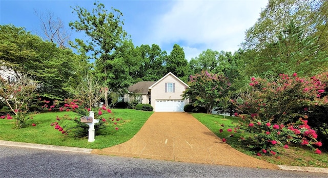 view of front facade featuring concrete driveway and a front lawn