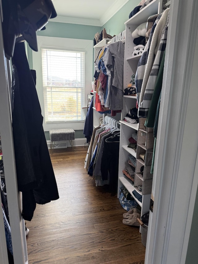 walk in closet with wood finished floors