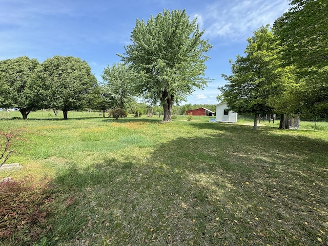 view of yard with a storage shed and an outdoor structure