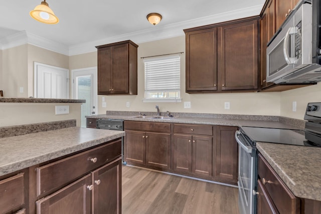 kitchen featuring stainless steel appliances, light wood-style floors, ornamental molding, a healthy amount of sunlight, and a sink