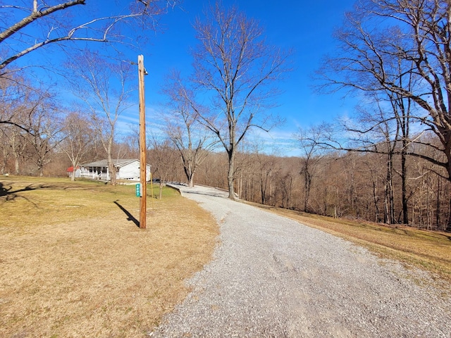 view of road featuring a view of trees