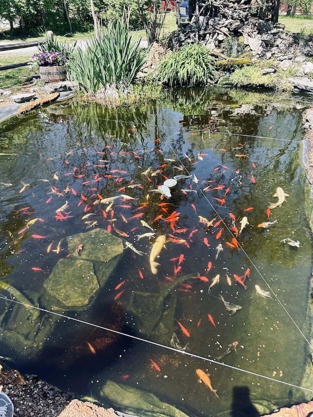 exterior details with a garden pond